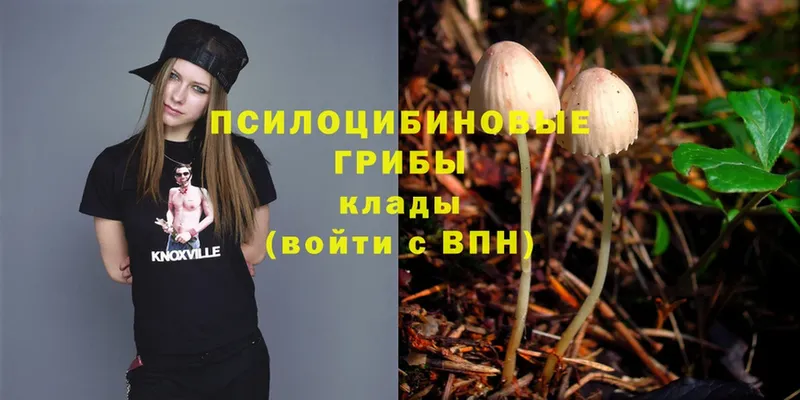 гидра вход  Тольятти  Галлюциногенные грибы MAGIC MUSHROOMS 